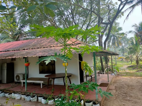 إقامة مزرعة الأرض الخضراء غرفة النزلاء من شجرة تمر هندي