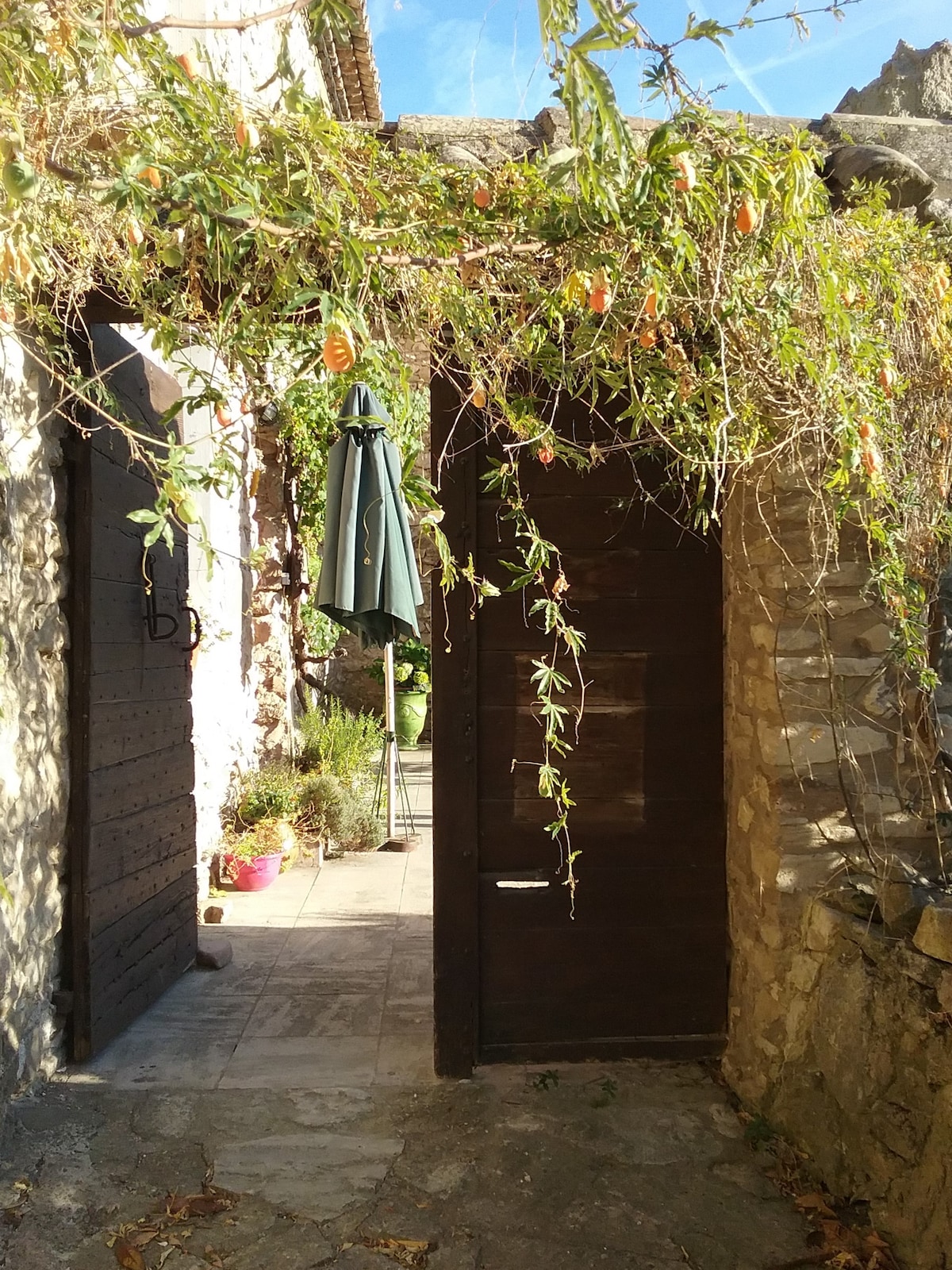 A pathway is framed by lush greenery and flowering vines, leading to a wooden door. A green umbrella is observed nearby, suggesting a shaded seating area. Sunlight filters through the foliage, creating a serene outdoor setting.