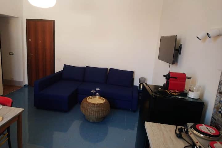 Brand New And Historic Flat Lungarno Pisa - Pisa