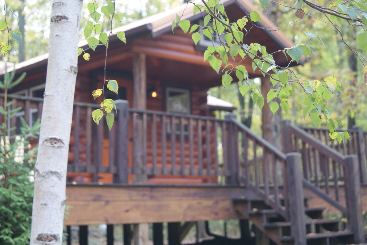 A rustic cabin is viewed from a distance, surrounded by greenery. The structure features a wooden deck with a set of steps leading up to the entrance. Light filters through the trees, highlighting the natural setting.