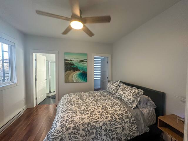 Freshly Renovated Main Floor Suite with Park Views gallery image 4
