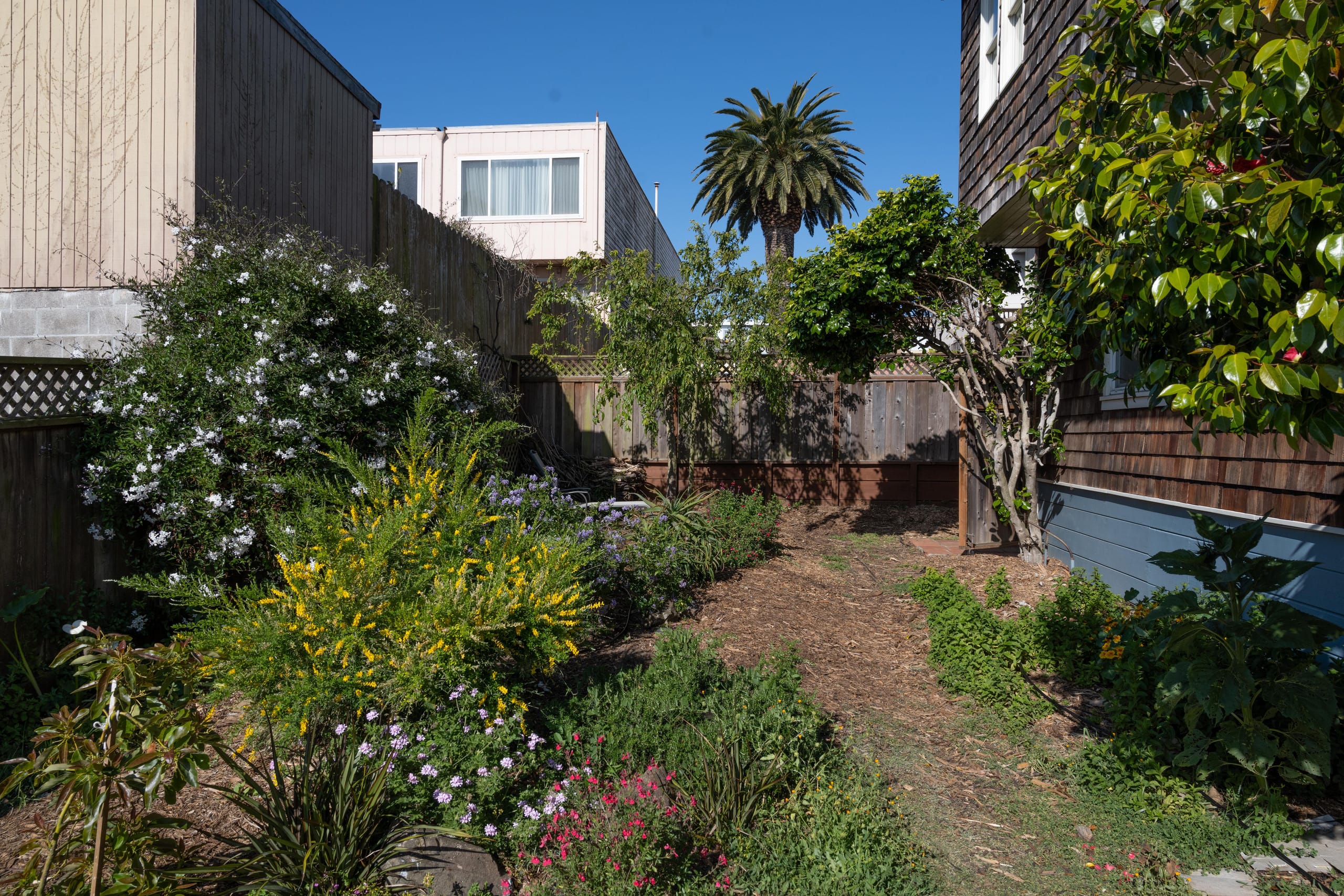 Home in San Francisco · ★4.97 · 4 bedrooms · 6 beds · 3 baths - Image 19