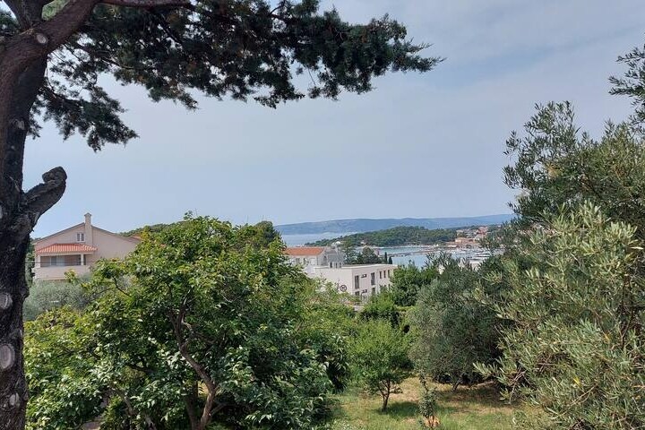 A view of the surrounding greenery, including trees and shrubs, is captured. The distant coastline and water are visible, along with the rooftops of nearby houses. The scene highlights a blend of natural beauty and the residential area.