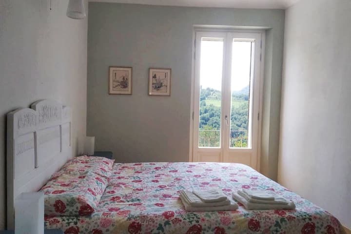 كاميرا سالفيا