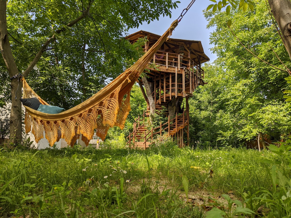 A colorful hammock is suspended between two trees, inviting relaxation in a lush green setting. In the background, a wooden treehouse rises above, featuring a multi-level design with a balcony and staircase surrounded by abundant foliage.