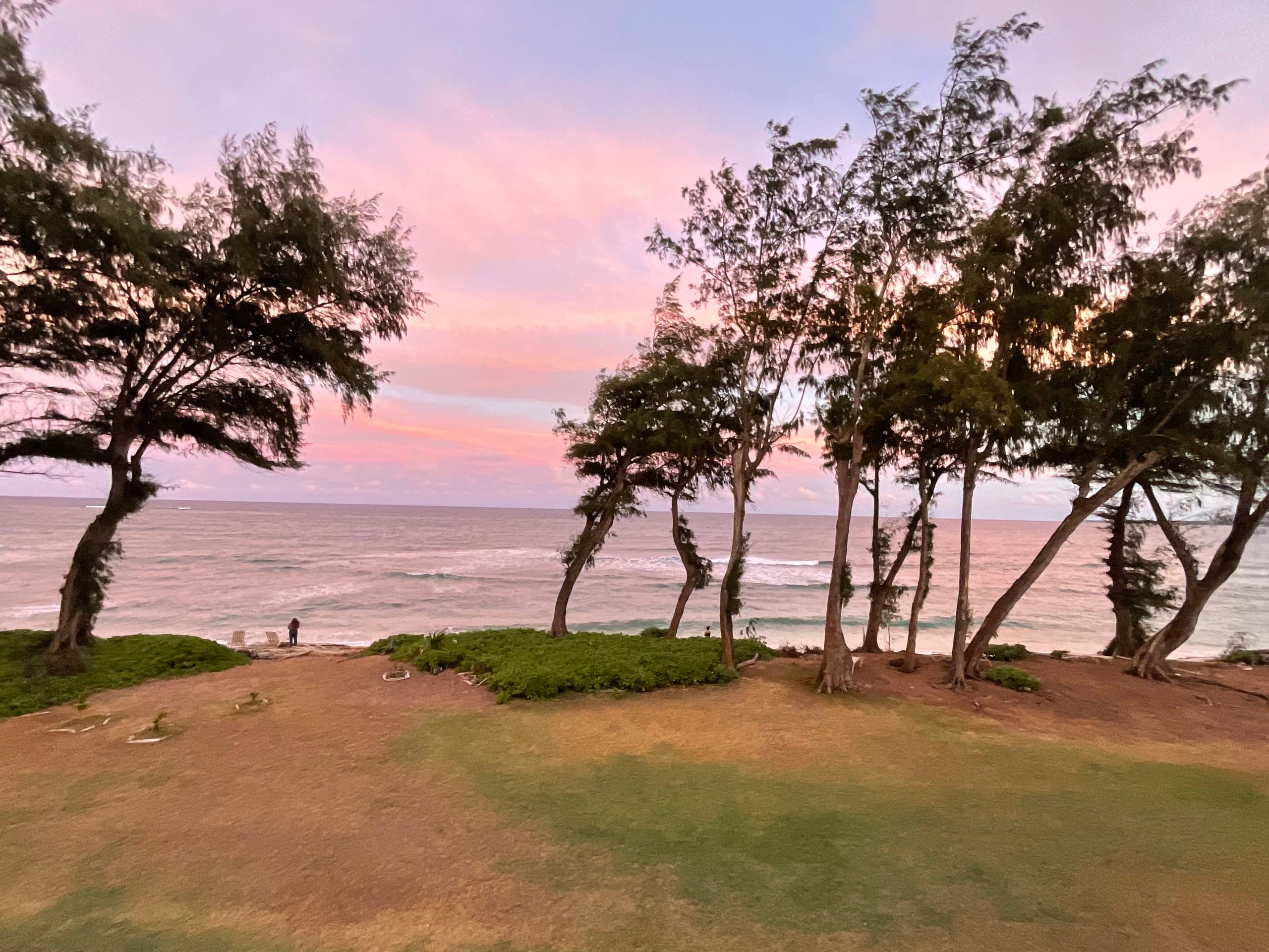 Oceanfront Studio at Islander on the Beach 325 - Photo 20
