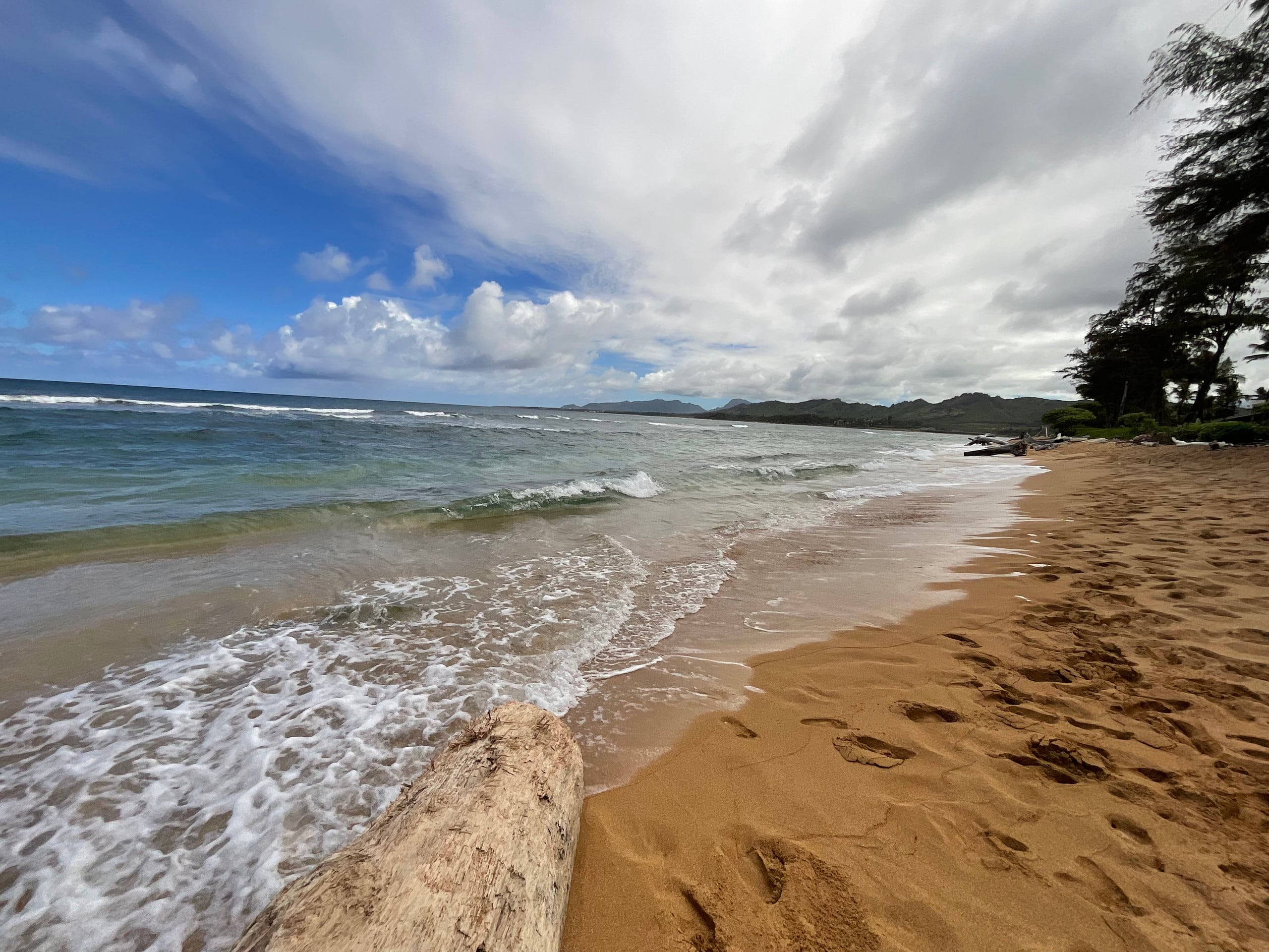 Oceanfront Studio at Islander on the Beach 325 - Photo 23