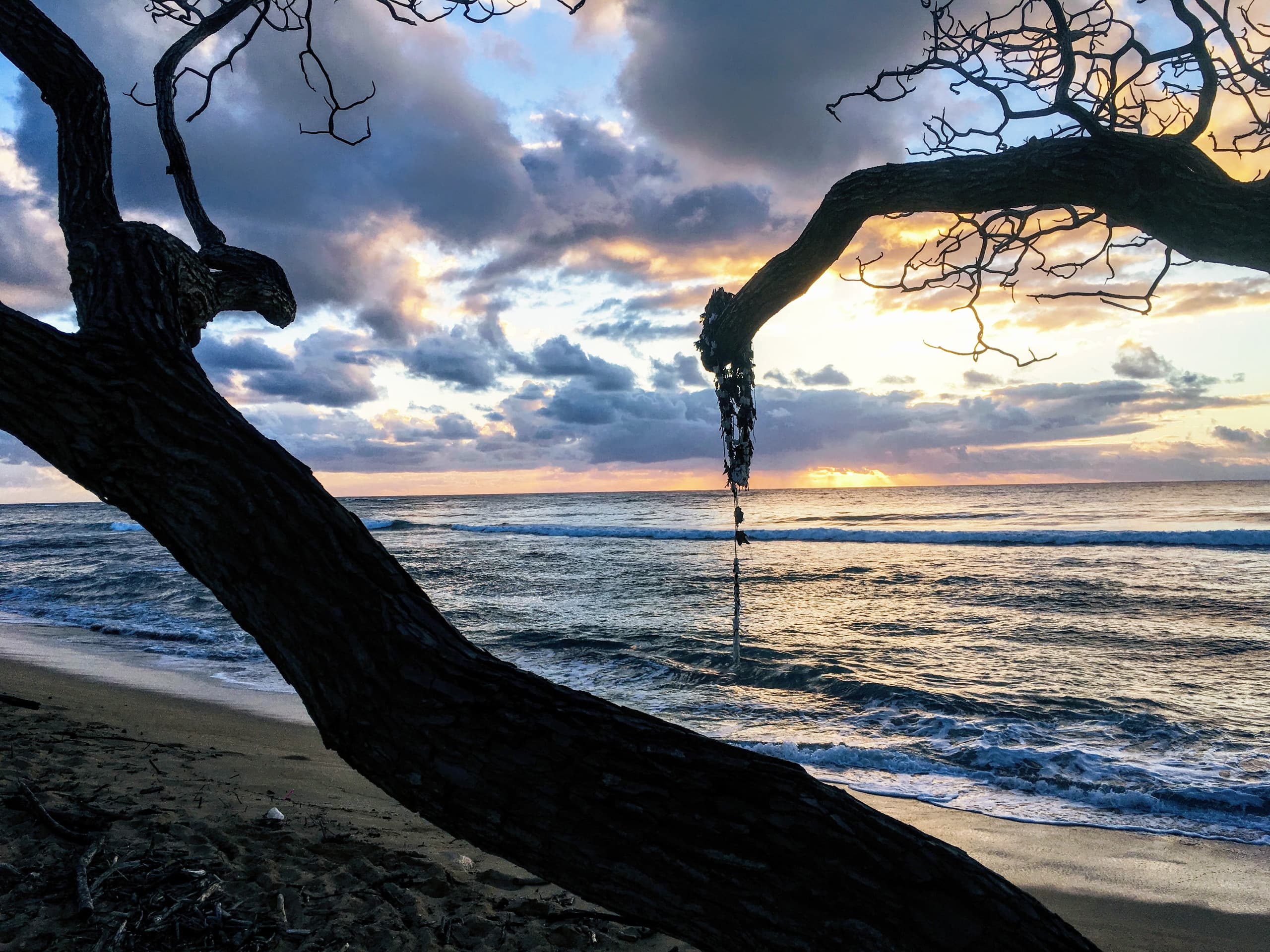 Oceanfront Studio at Islander on the Beach 325 - Photo 4