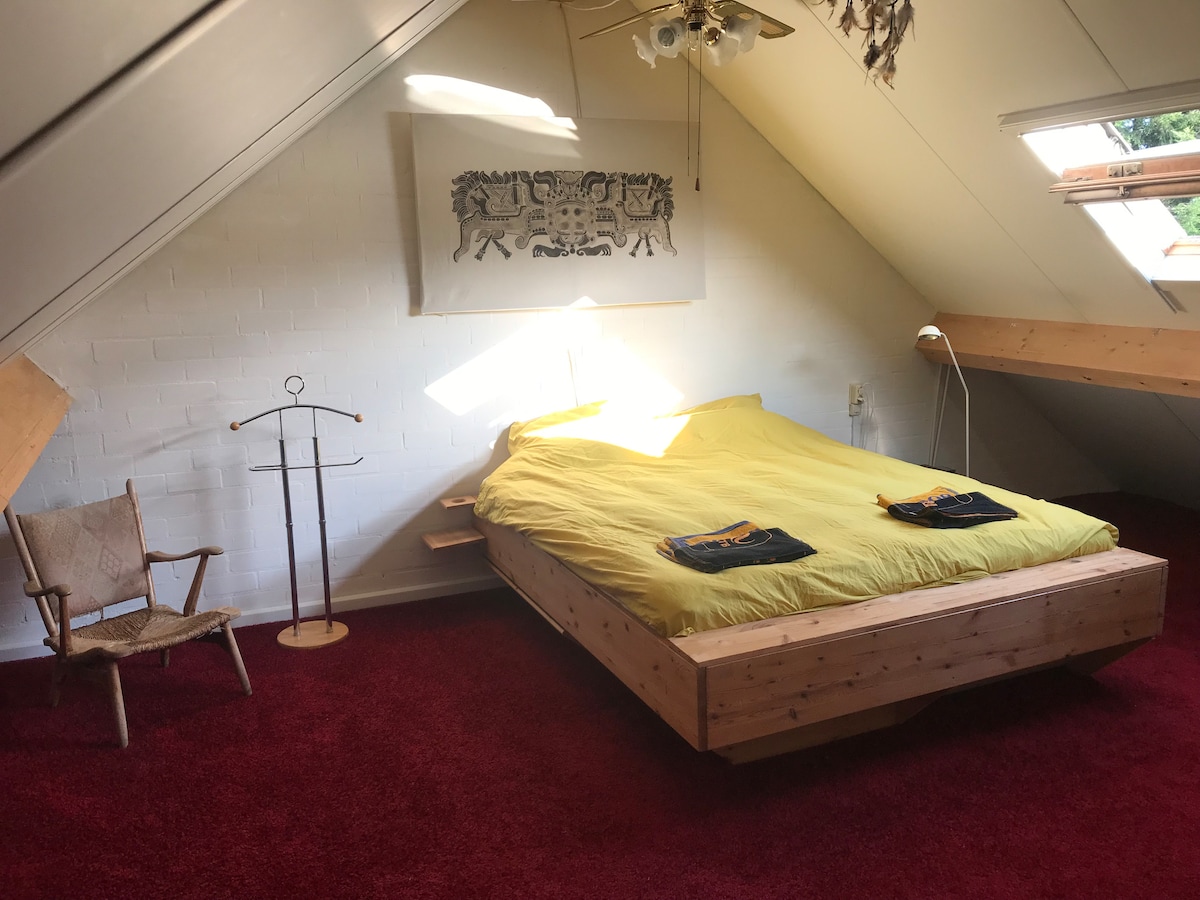 Chumba cha kulala chenye nafasi kubwa na WARDROBE kubwa 