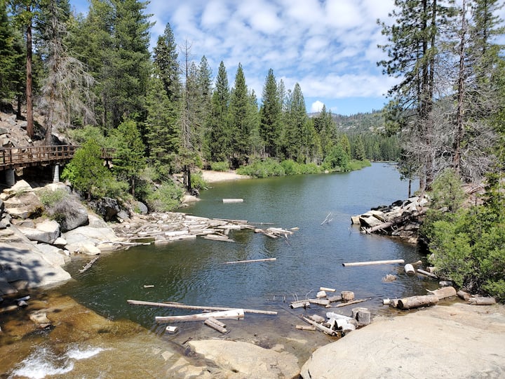 Are Dogs Allowed At Sandy Cove Hume Lake