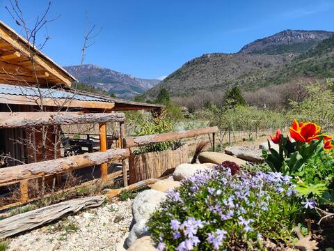 Lovely nature cabin in Provence.
Welcome