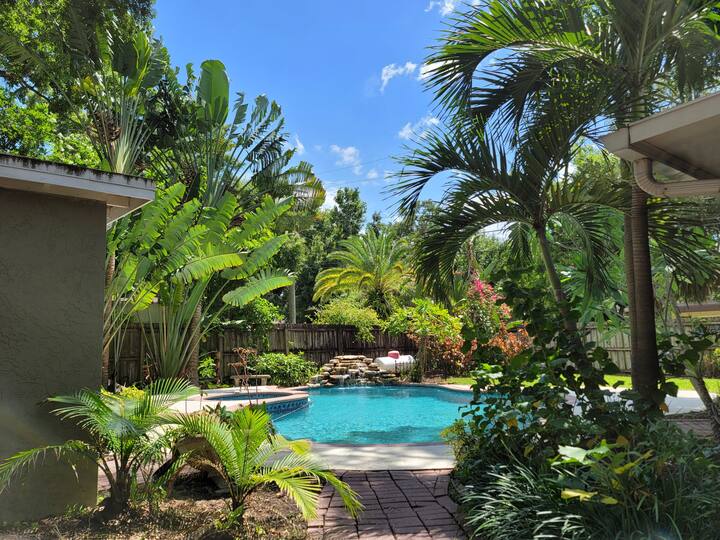 South Tampa home with oasis backyard Houses for Rent in Tampa
