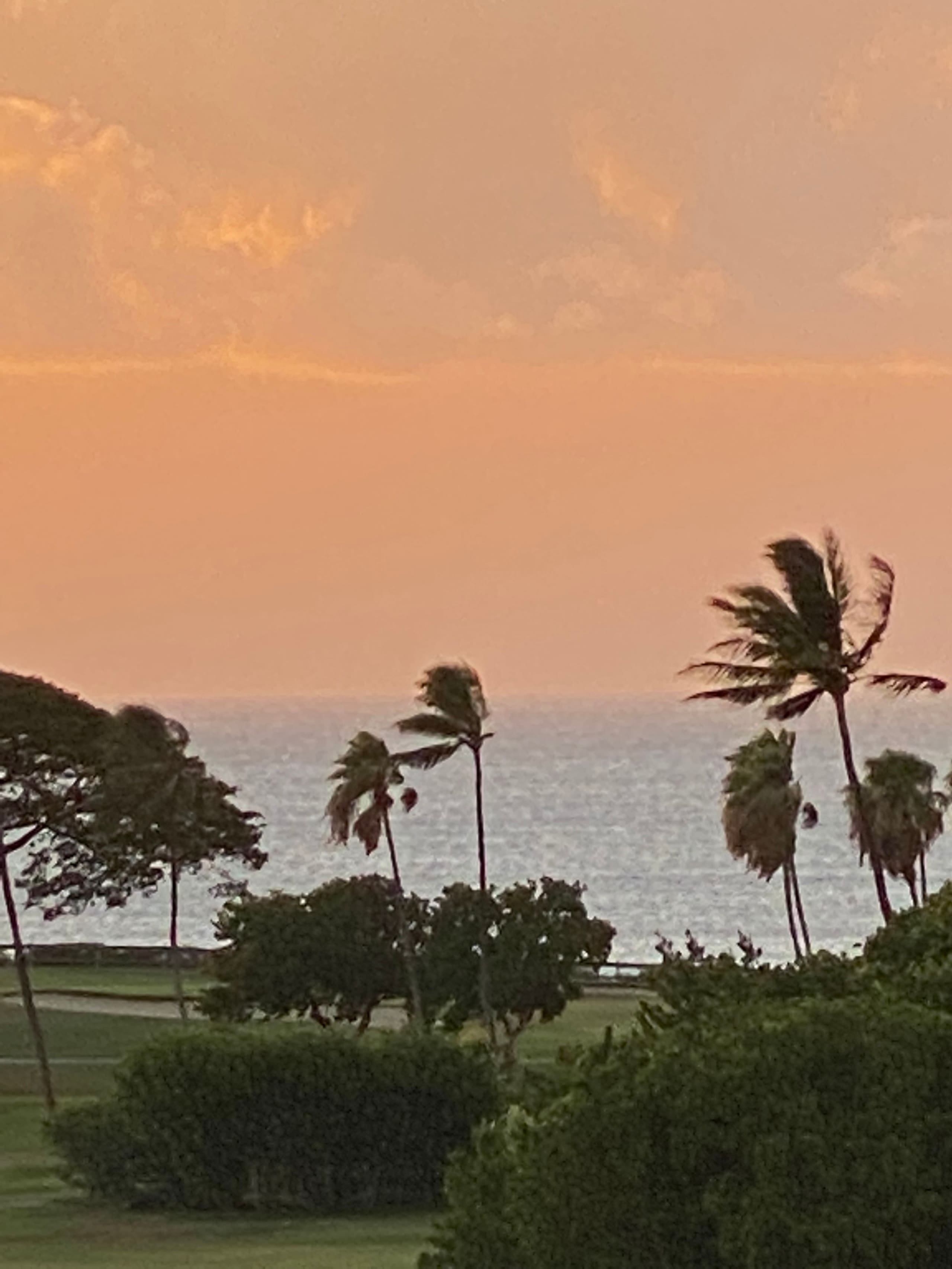 Condo in Lahaina · ★4.95 · Studio · 2 beds · 1 bath - Image 16
