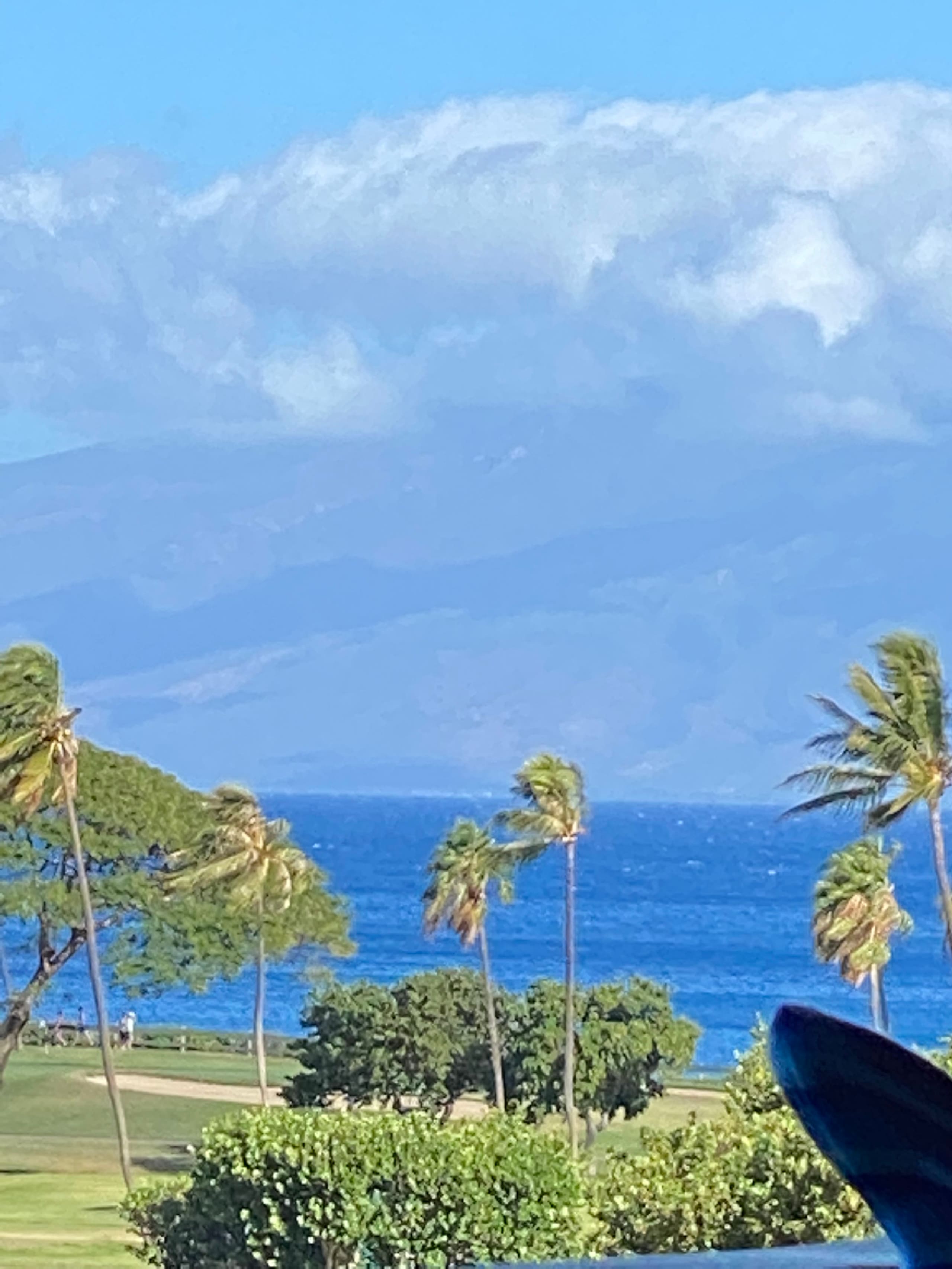 Condo in Lahaina · ★4.95 · Studio · 2 beds · 1 bath - Image 2