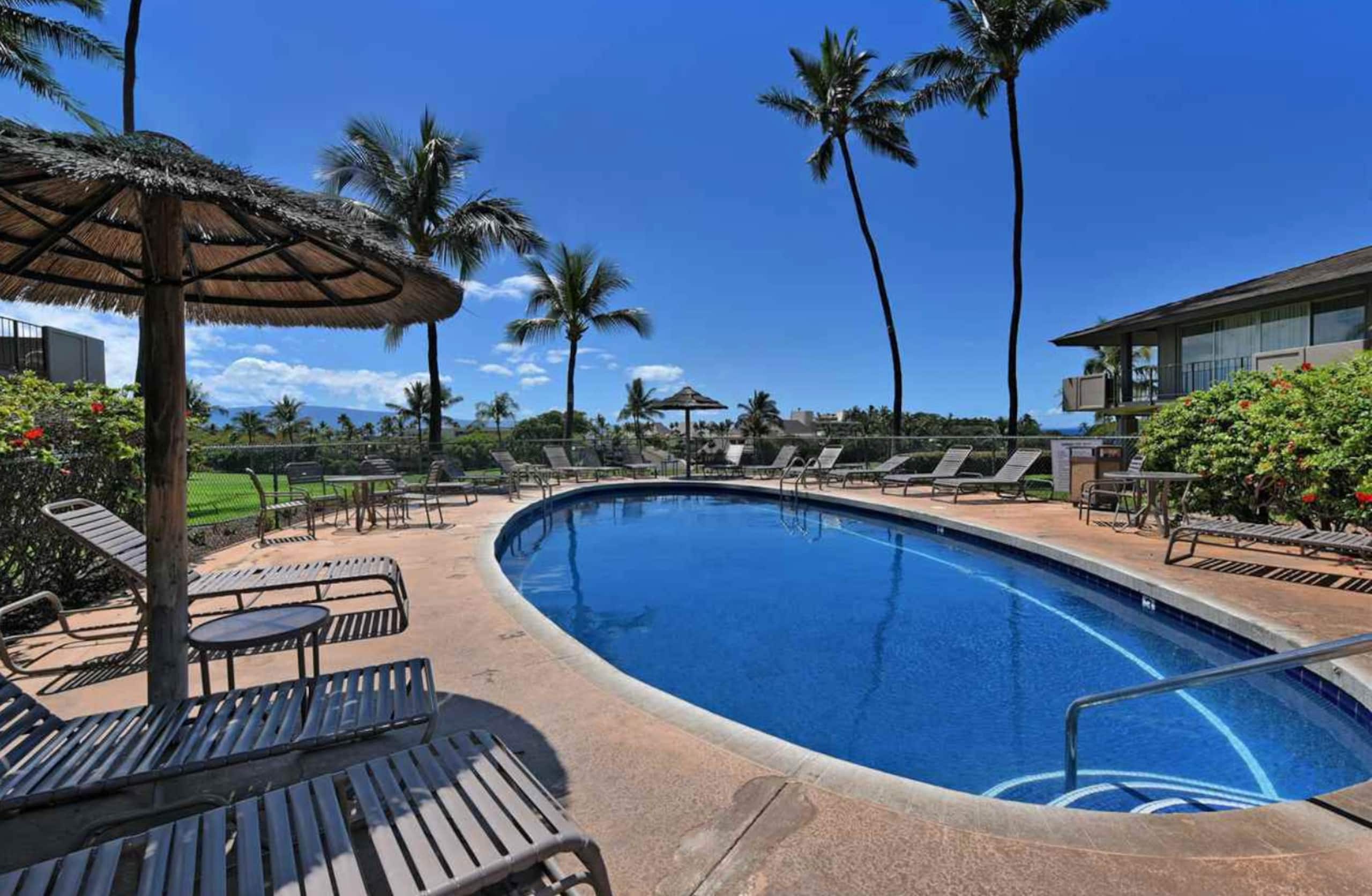 Condo in Lahaina · ★4.95 · Studio · 2 beds · 1 bath - Image 30