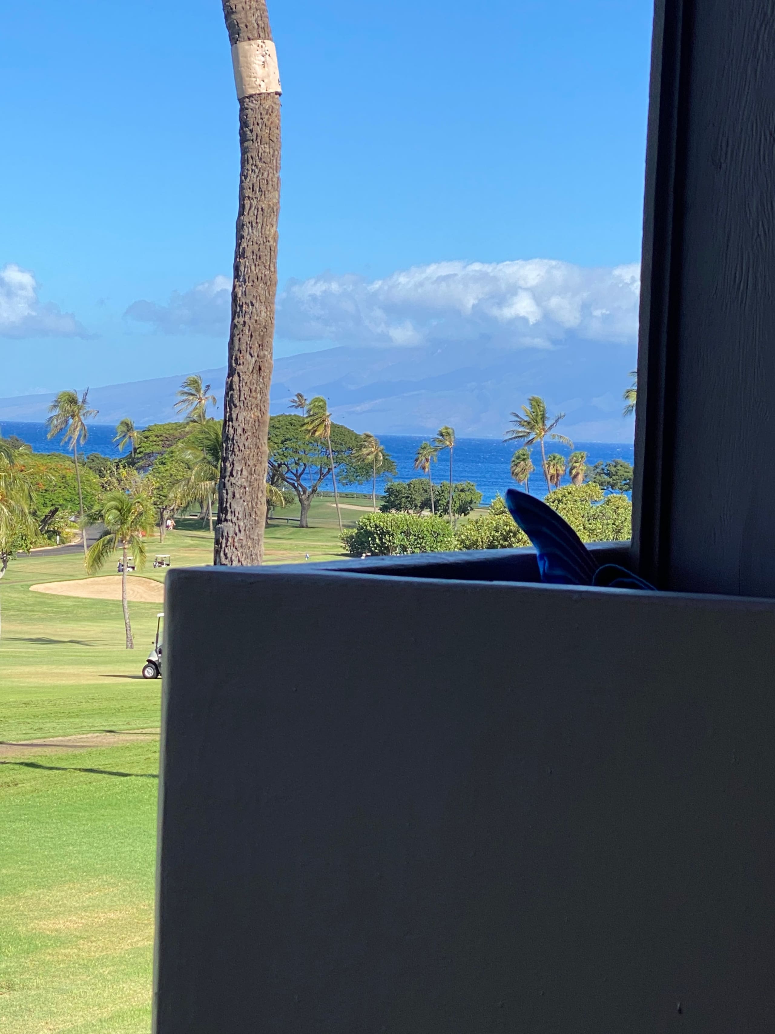 Condo in Lahaina · ★4.95 · Studio · 2 beds · 1 bath - Image 28