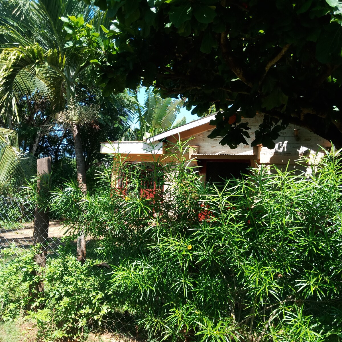 A charming cottage is nestled among lush greenery, with palm trees and flowering plants surrounding it. Natural light filters through the tropical foliage, creating a serene atmosphere. The welcoming entrance of the cottage features a wooden overhang, inviting guests to explore the tranquil space.