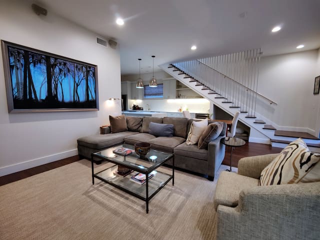 Luxury renovation of historic shotgun home