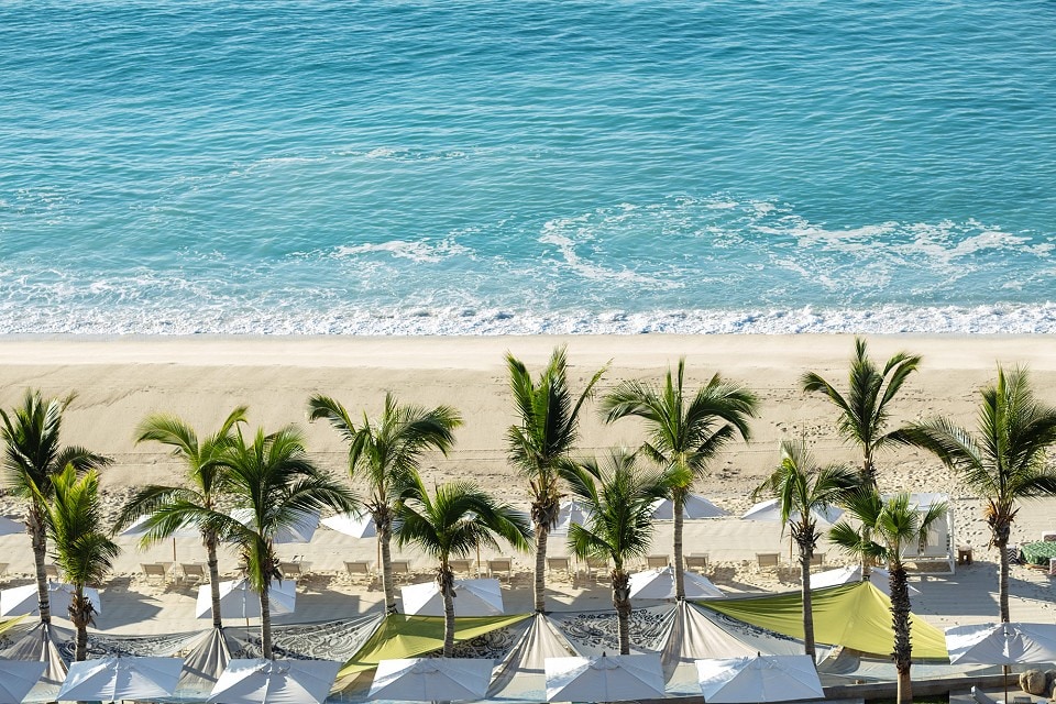 A view of a serene beach is presented, featuring soft sand lined with shade-giving palm trees and white cabanas. The gentle waves of the sea meet the shore, creating a peaceful atmosphere under a clear blue sky.