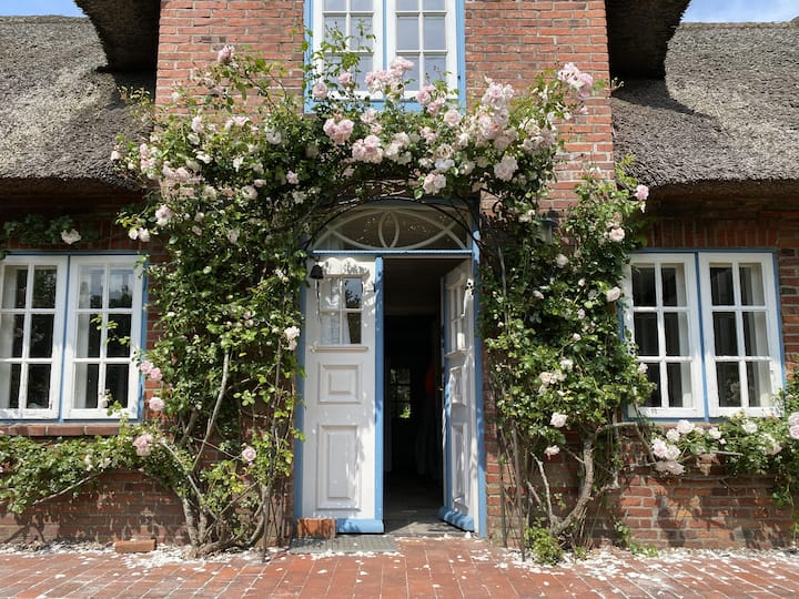 Haus Nika