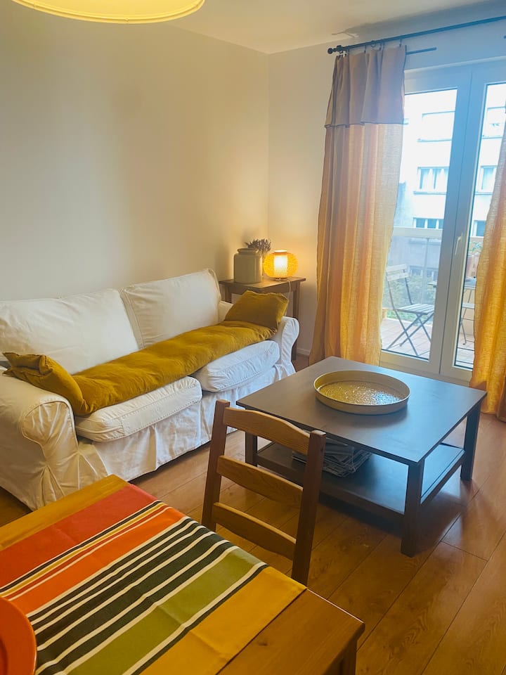 Pleasant apartment downtown with parking Apartments for Rent in Dijon