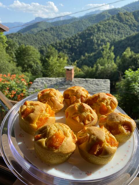 Top Airbnb: B&B with wellness area inside silence of alps a Cuneo