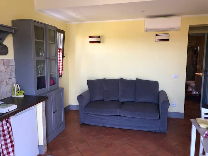 Appartamento Con Giardino In Casale 3 - Magliano in Toscana