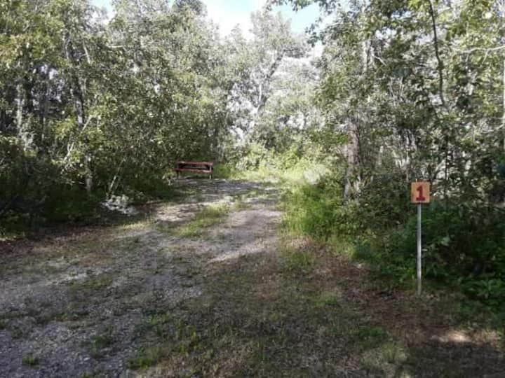 Grinnell Glacier Holiday Rentals & Homes Montana, United States Airbnb