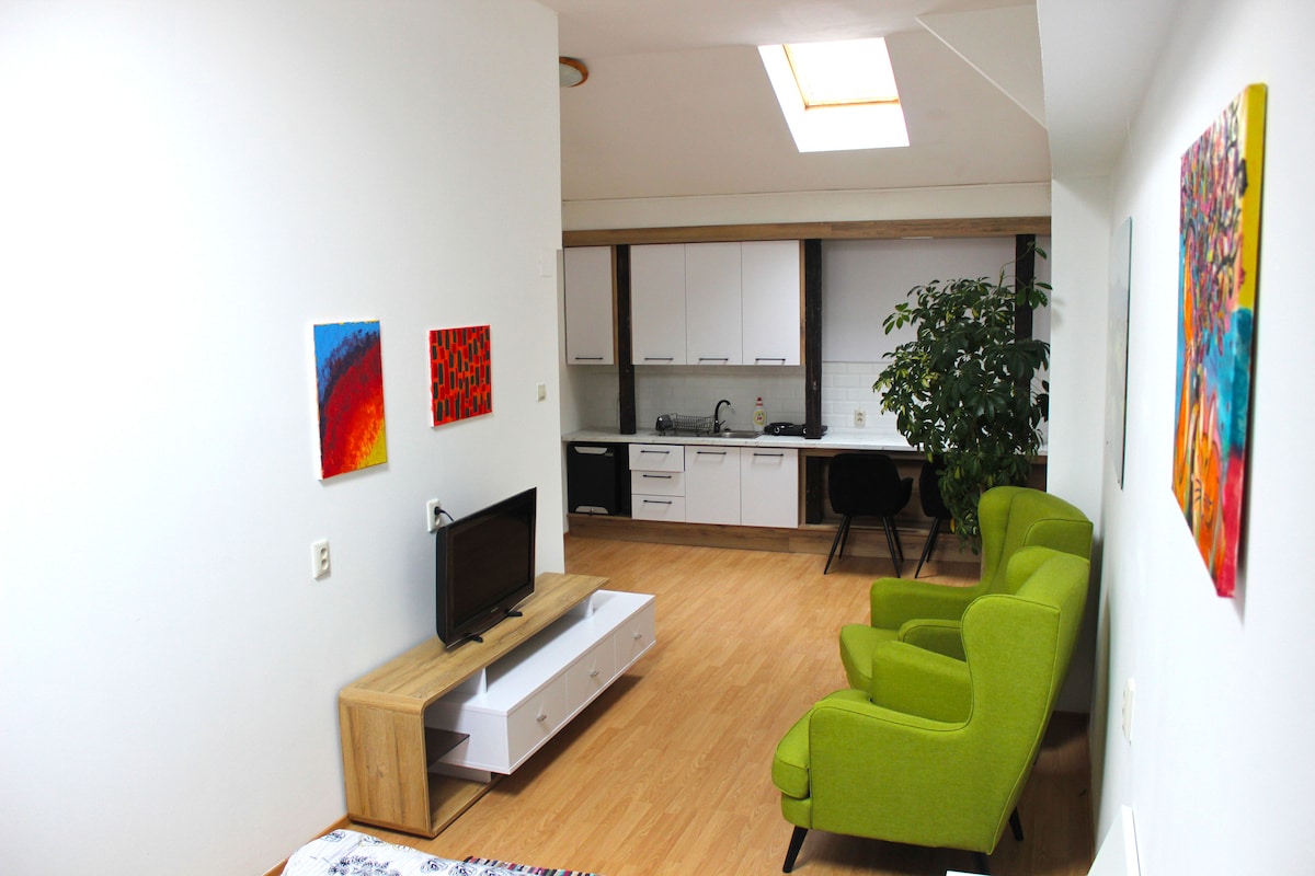 The living area features a compact seating arrangement with two green armchairs facing a low media console and a television. Light wood flooring is complemented by colorful wall art, while a fully equipped kitchen is visible in the background, framed by a large window.