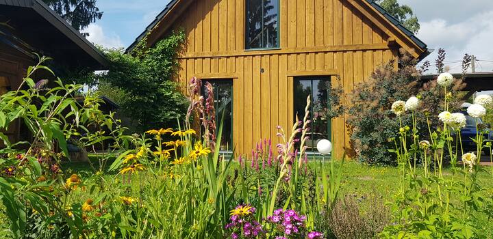 Cosy wooden house for cat lovers in the countryside