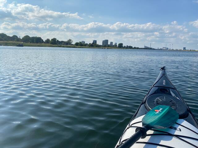 Unique beach fronting house close to everything gallery image 3