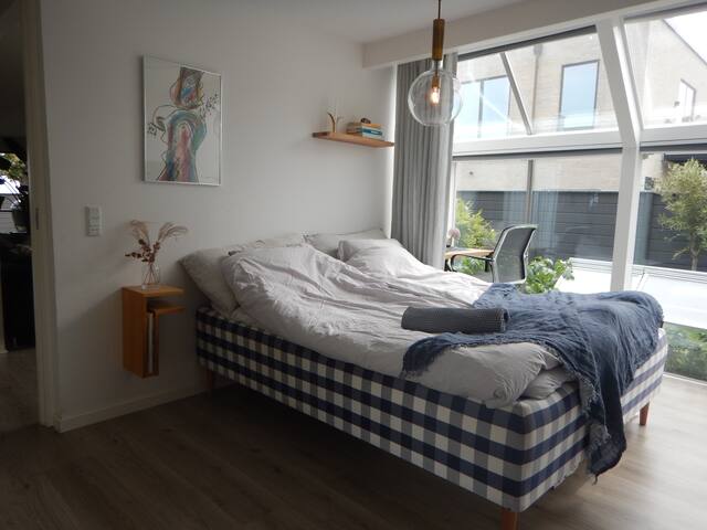 Unique beach fronting house close to everything gallery image 5