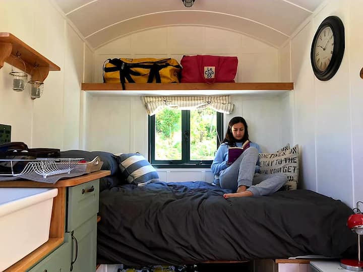 Shepherds Hut surrounded by apple orchards