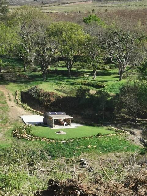 Shepherds Hut surrounded by apple orchards