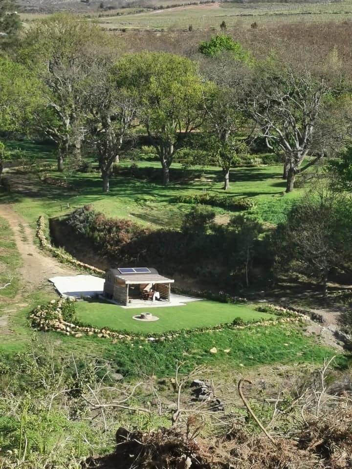 Shepherds Hut surrounded by apple orchards