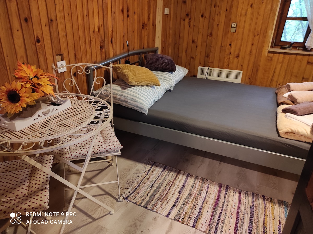 Grote kamer met groot tweepersoonsbed en een voor één persoon