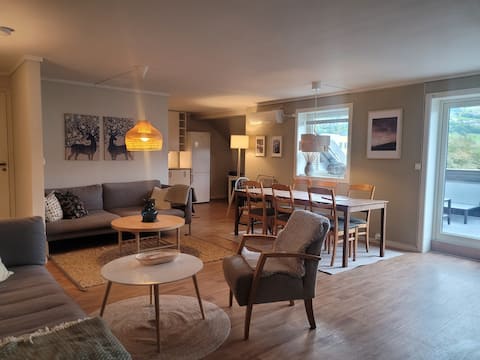 Penthouse with large roof terrace, Voss center