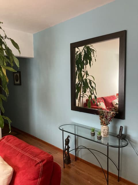 Top performing Airbnb: Spacious, comfortable, perfect for you: Zona Rosa museums in Cuauhtémoc