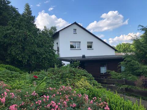 Vacation home in Hochsauerland | Hot tub & alpacas