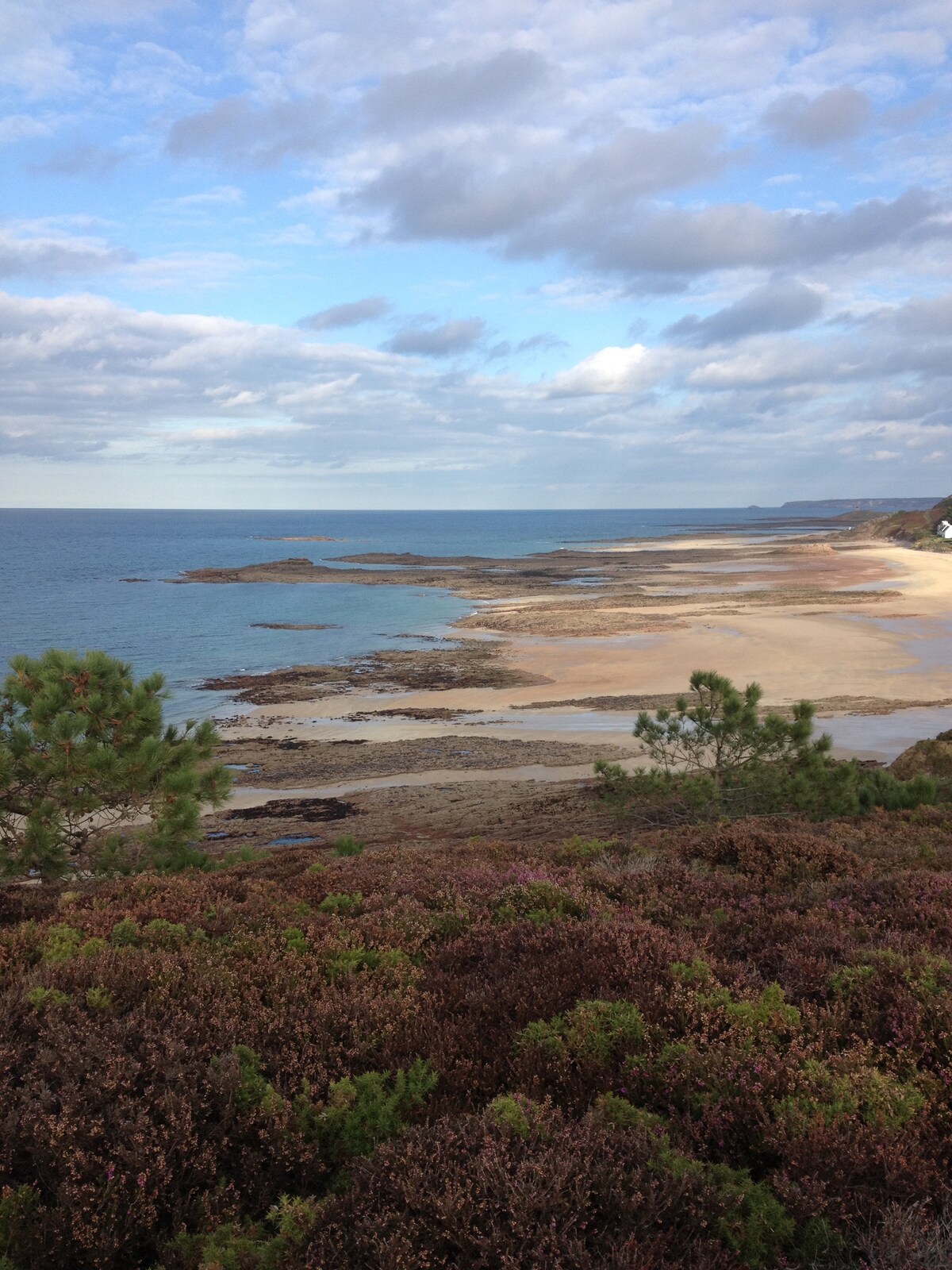 A serene coastal landscape showcases a sandy beach meeting the calm sea under a partly cloudy sky. Varying shades of blue and beige reflect in the water and sand, while green shrubs and plants frame the foreground, enhancing the natural beauty of the shoreline.