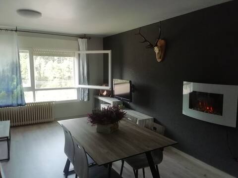 Beautiful penthouse with terrace, in the Pyrenees