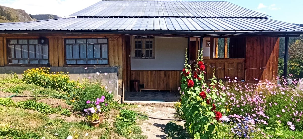 A family guesthouse features a welcoming entrance surrounded by lush flower beds in a variety of colors. The structure showcases a wooden exterior with a gray roof, large windows, and a spacious porch area. Natural light brightens the entryway, enhancing the inviting atmosphere.