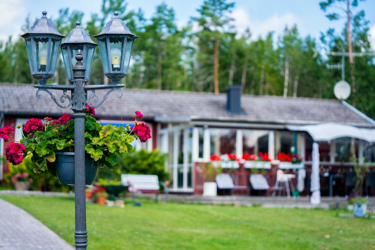 A charming outdoor scene features a decorative lamp post with vibrant red flowers. In the background, a welcoming house is framed by lush greenery, with a covered seating area and windows adorned with bright floral arrangements, creating a relaxed atmosphere for gatherings.