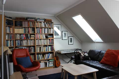 Quiet area in city center. Homely and spacious