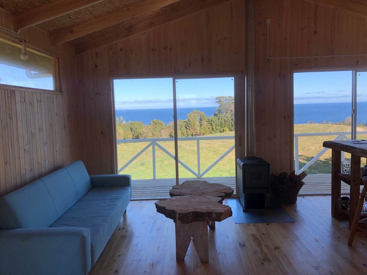 A spacious living area features large windows offering a view of the ocean and surrounding greenery. A light blue couch is positioned opposite a natural wood coffee table, which has a unique shape. A small stove is located nearby, enhancing the cozy atmosphere.