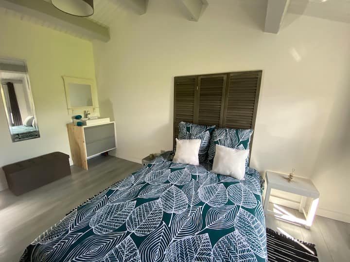 غرفة نوم واسعة مع غرفة ملابس وغرور