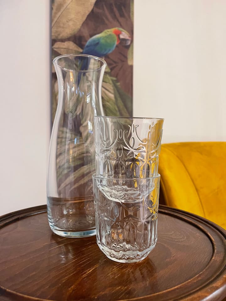 Botanical guesthouse Oud-Loosdrecht with veranda!