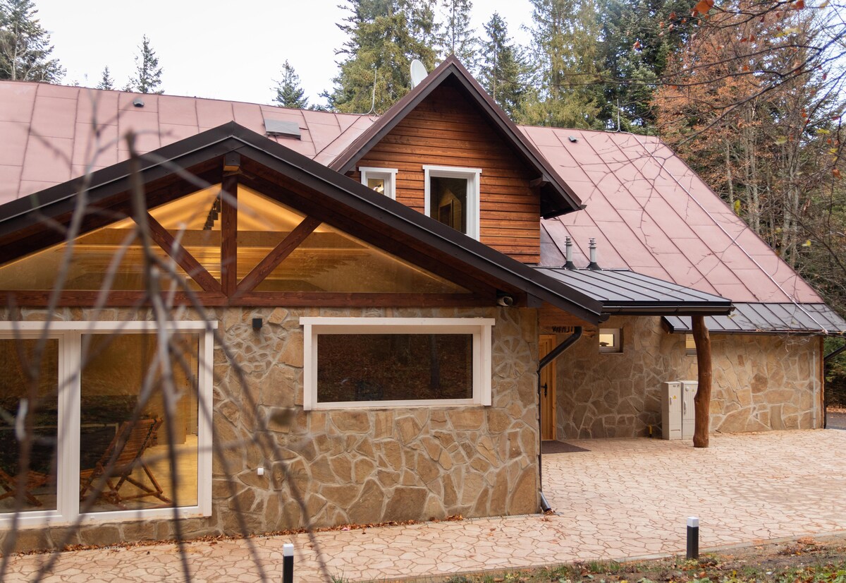 The exterior of the villa is showcased, featuring a blend of stone and wood construction. Large windows provide ample natural light, while the stone pathway leads to the entrance. Surrounding greenery adds to the natural setting.