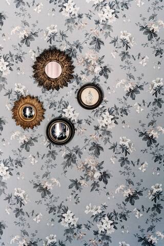 Seaview ~ A beautiful hideaway in central Hobart. gallery image 5