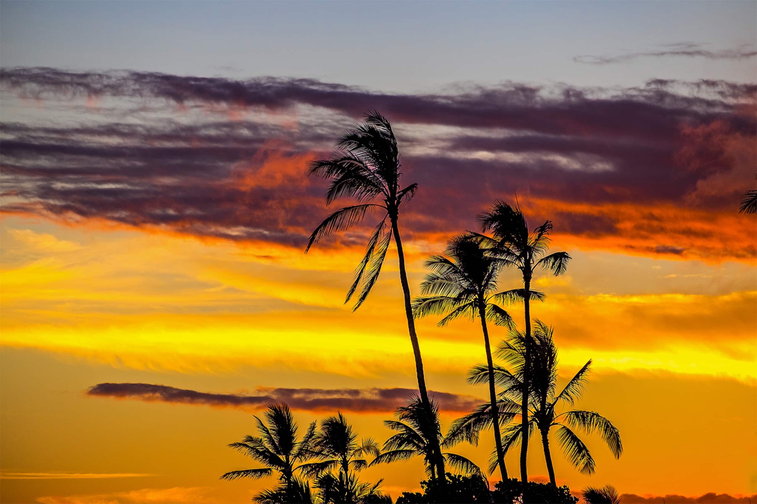 Condo in Koloa · ★4.9 · 2 bedrooms · 5 beds · 2 private baths - Image 46